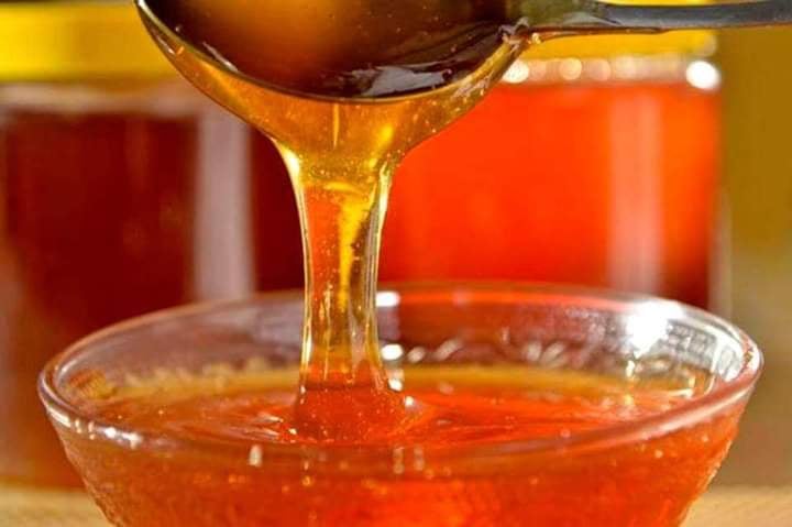 مربو النحل يشتكون نقص الإمكانيات وغلاء أسعار العسل في الأسواق