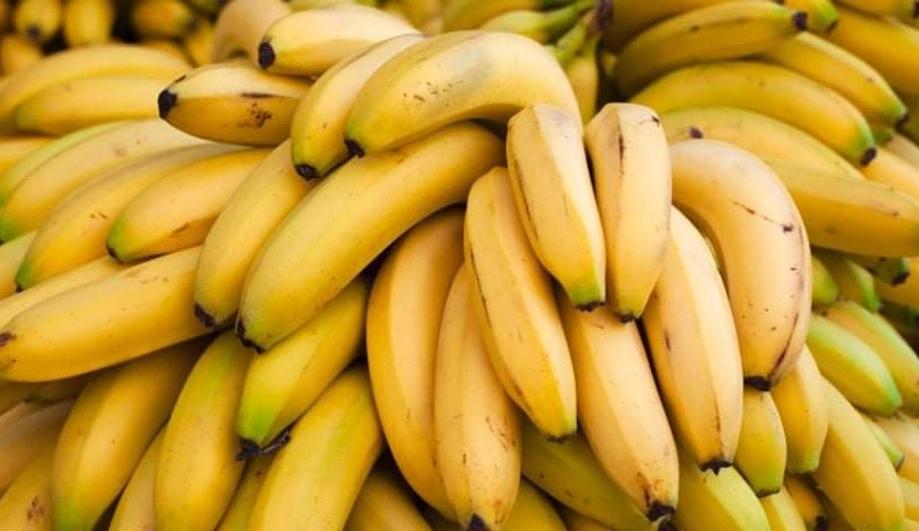 مركز الرقابة على الأغذية ينفي الاشاعات المتداولة حول الموز المستورد