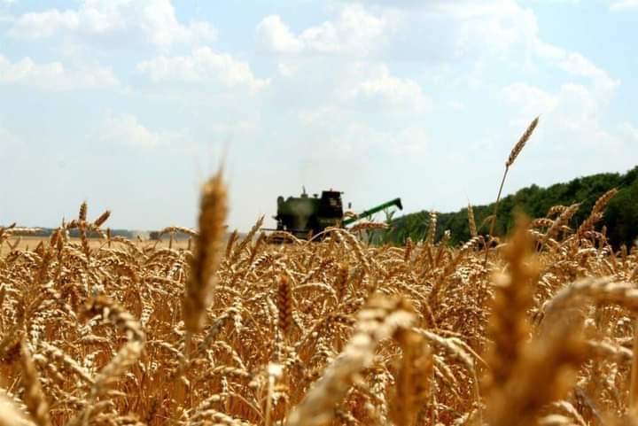 انخفاض صادرات المنتجات الزراعية الروسية بنسبة 9% إلى 1.109 مليار دولار