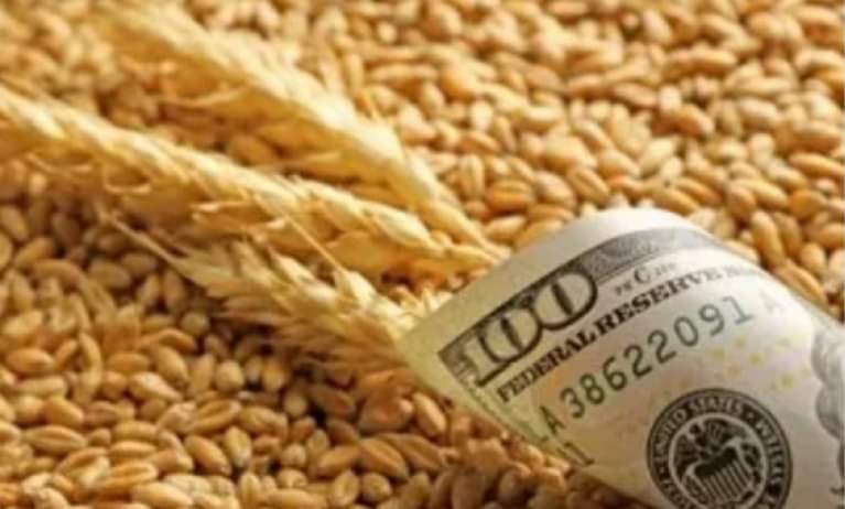 أسعار القمح ترتفع لأعلى مستوياتها في 9 أعوام