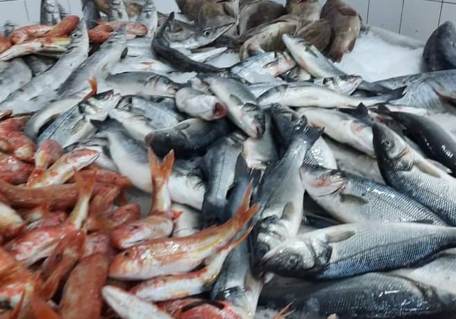 انخفاض أسعار بعض أصناف الأسماك بنسبة 2% في أسواق  طرابلس
