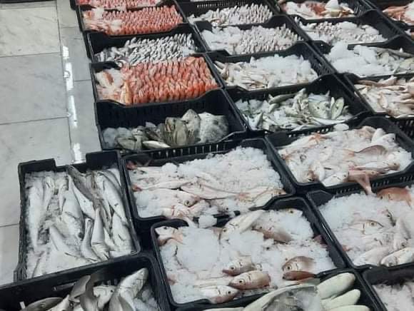 وزارة الاقتصاد تمنع تصدير الأسماك
