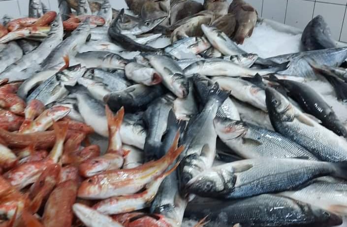انخفاض أسعار الأسماك بنسبة 35%  واقبال ضعيف من المواطنين على الشراء
