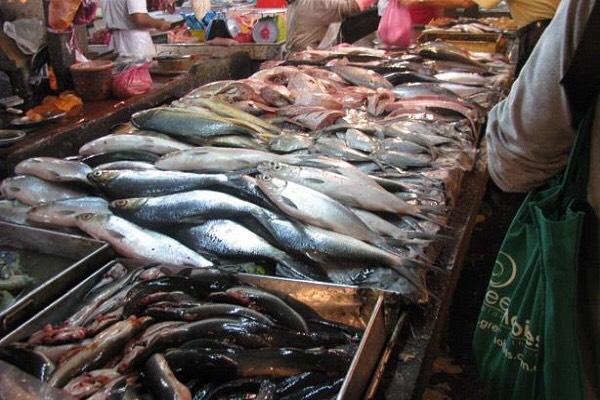 قرار الاقتصاد بحظر تصدير السمك يربك السوق التونسي، ويظهر وجود موارد بديلة عن النفط