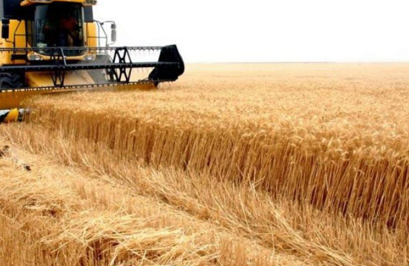 توقعات ببلوغ محصول القمح الروسي مستوى قياسي في 2022