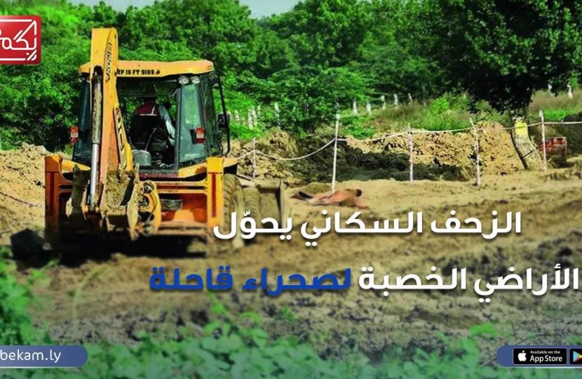 كيف تحولت مزارع جنوب طرابلس من “سهل خصيب” إلى كتل خرسانية