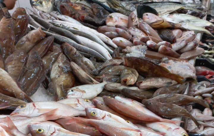 ارتفاع ملحوظ في أسعار السمك اليوم الأحد بسوق الحوت