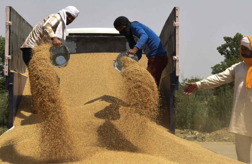 الهند لا تعتزم رفع القيود عن تصدير القمح قبل المحصول المقبل