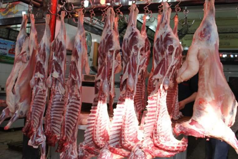 رغم توفر المواشي والأعلاف، ارتفاع في سعر لحم الخروف بأسواق طرابلس