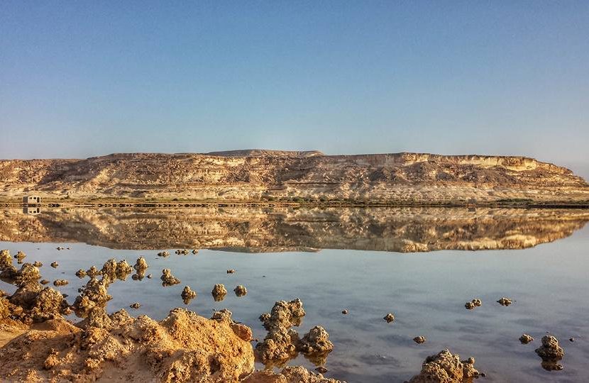 نجاح المرحلة الأولى من مشروع زراعة الأسماك بالجغبوب